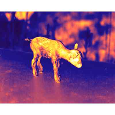 Тепловізійний приціл Guide TR 420 QD Long mount 2,3-9,2x25 384x288@12μm VOx 1300 м (TR420LongQD) Вінниця