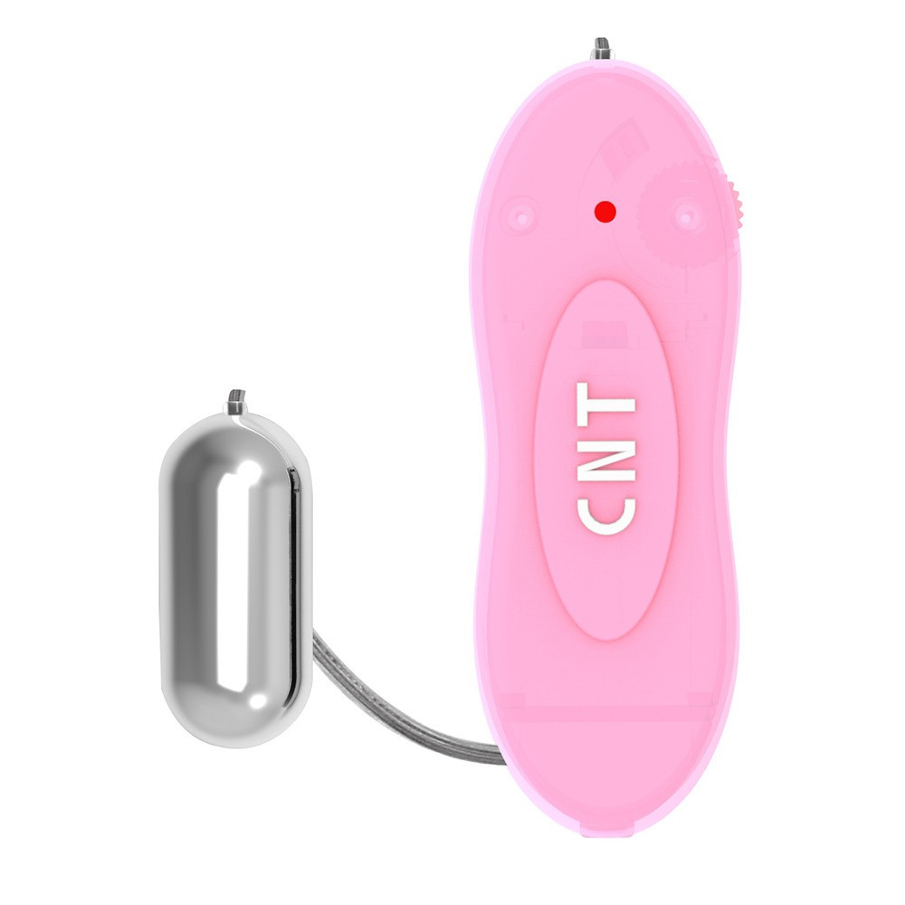 Вибропуля серебристая Chisa Hi-Basic Bullet CNT Mini с розовым пультом управления Sex Aura Киев - изображение 2