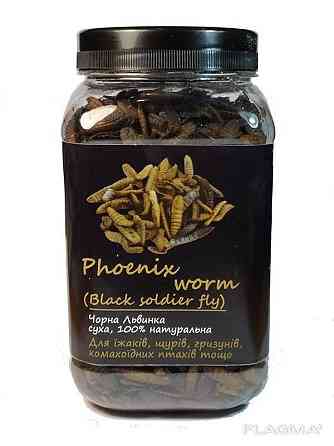 Чорна Львинка "Phoenix Worm" тм Буся. Корм для їжаків, птахів, гризунів, рептилій 600мл/200г Зміїв