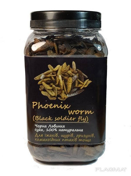 Черная Львинка 