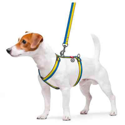 Шлей для собак WAUDOG Nylon с QR паспортом анатомическая H-образная "Colors of freedom" L (5160-4020) Винница