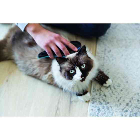 Щітка-пуходерка Trixie для собак м_яка пластикова 19 см Київ