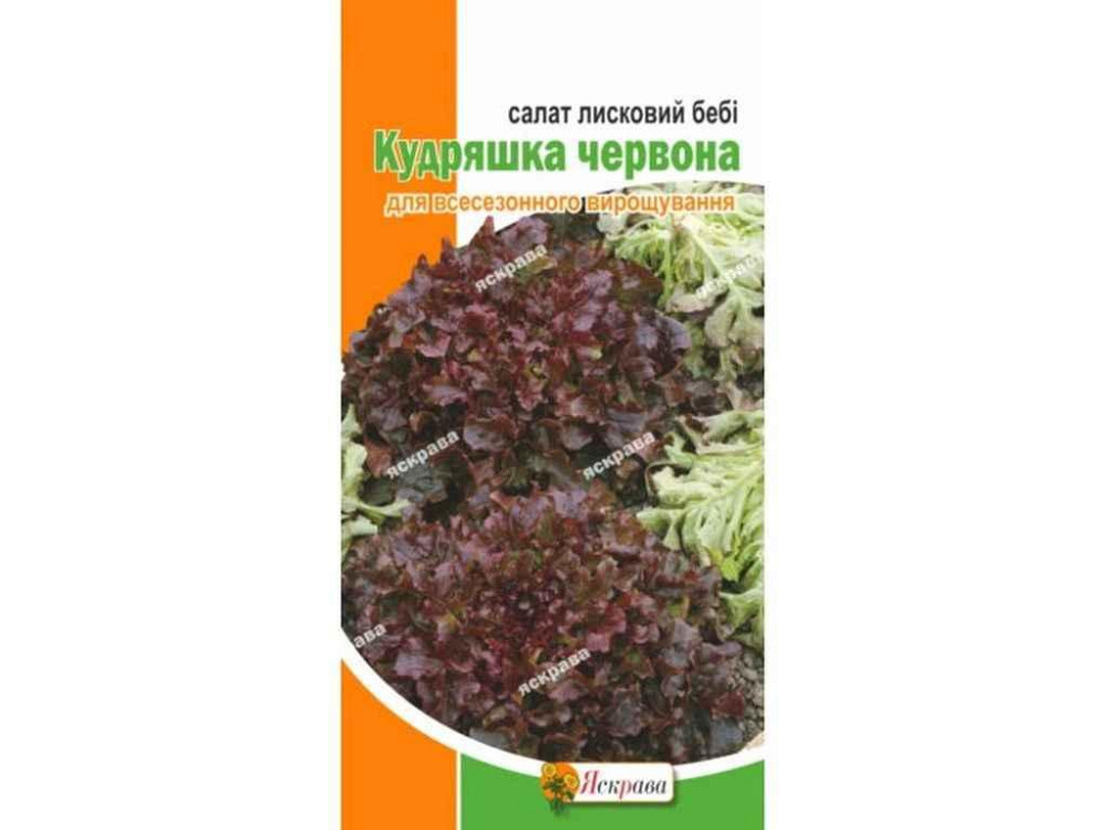 Салат-беби листочный Кудряшка красная (20 пачек) 1г ТМ ЯСКРАВА Киев - изображение 1