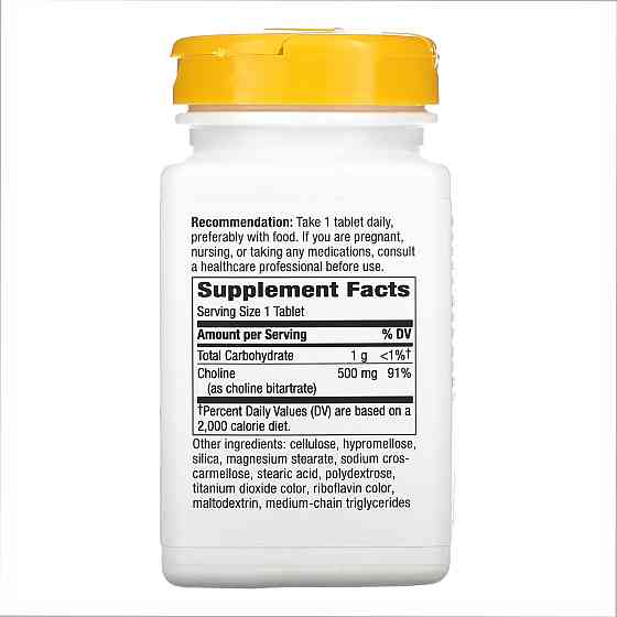 Choline 500 mg - 100 tabs Луцьк