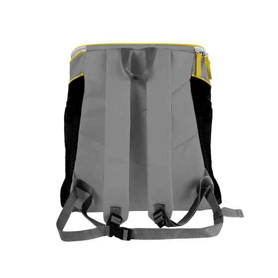 Рюкзак-переноска COLLAR 35*25*37 Вінниця