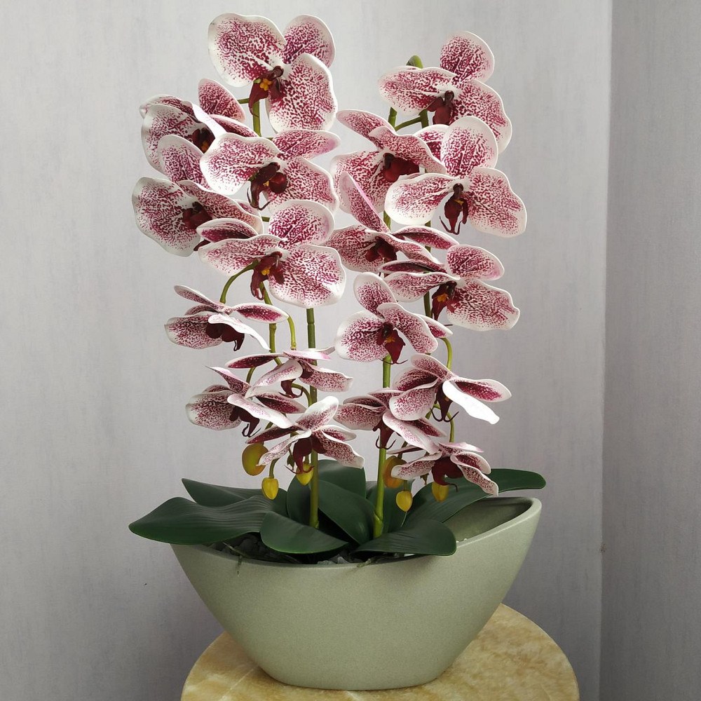 Штучна латексна орхідея VIP у бежевому керамічному кашпо на дві гілки бордовий градієнт Дніпро - фото 1