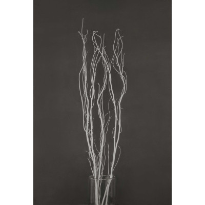 Прикраса декоративна YES! Fun Гілка біла, 120 см (973448) Вінниця - фото 1