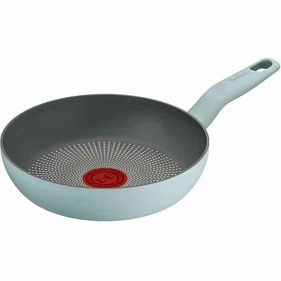Сковорода Tefal Halo Eucalyptus 20 см (G0160202) ( 24769 ) Харьков