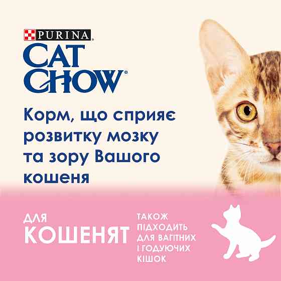 Сухой корм CAT CHOW Kitten для котят, с курицей, 15 кг Киев