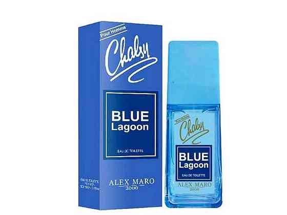 Туалетная вода д/чол. 76% Blue Lagoon 95мл (Givenchy Blue Label) ТМ Chalsy Киев
