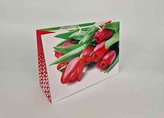 Паперовий великий горизонтальний пакет 36/22/10 (артBG-044) (12 шт.) Харків