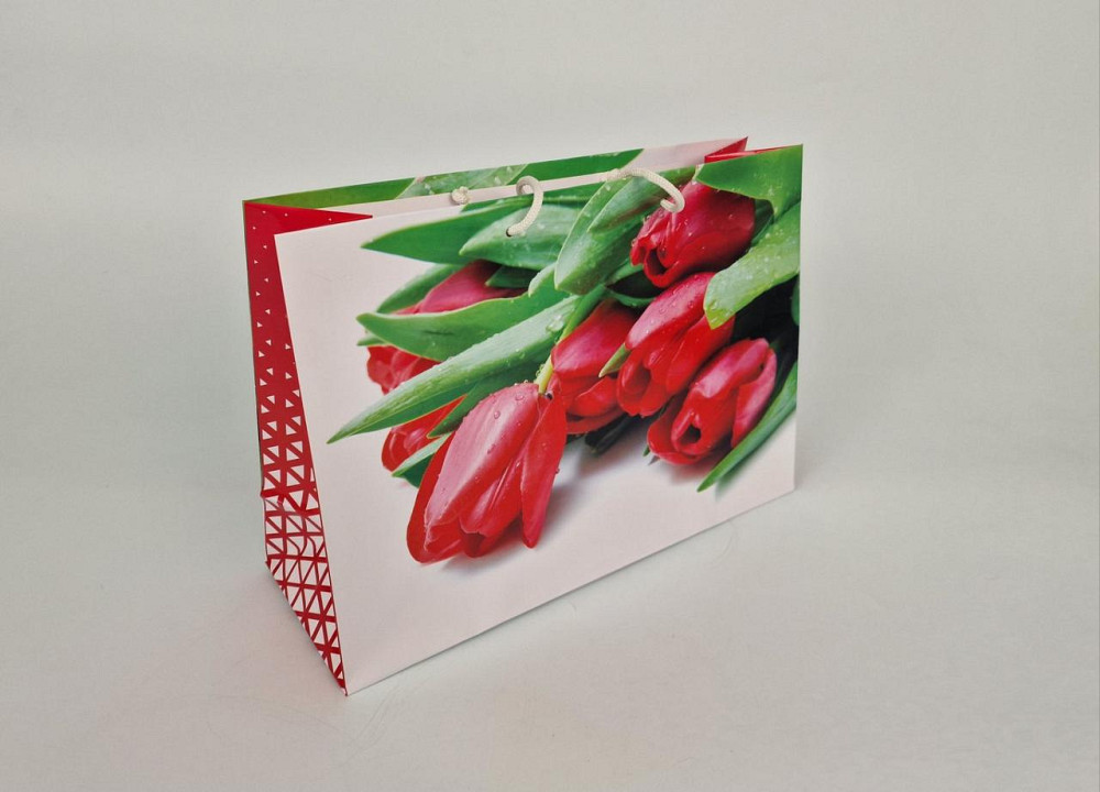 Паперовий великий горизонтальний пакет 36/22/10 (артBG-044) (12 шт.) Харків - фото 1