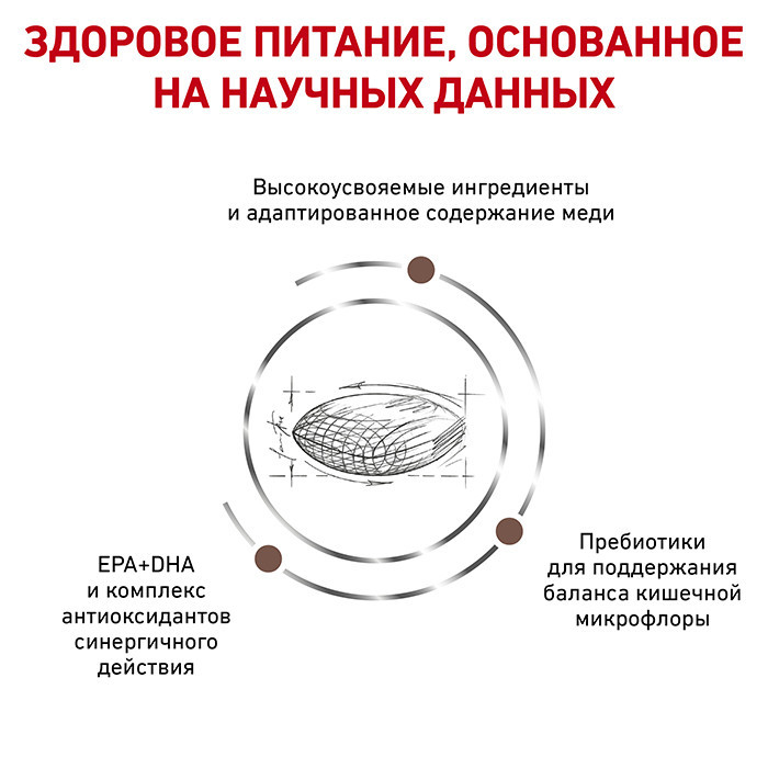Royal Canin Hepatic (Рояв Канін Гепатик) сухий корм для собак при захворюваннях печінки 12 кілограмів. Запоріжжя - фото 3