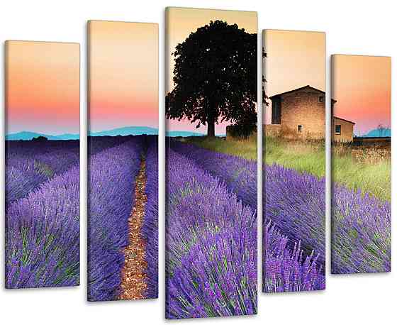 Модульная картина Прованс Art-48_5 99x140 см Киев
