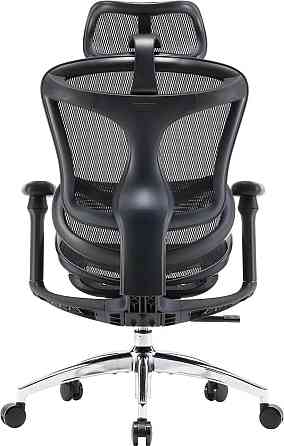 Крісло офісне Sihoo Doro C300L Mesh Black (DORO-C300L-A3-101) ( 15290 ) Харків