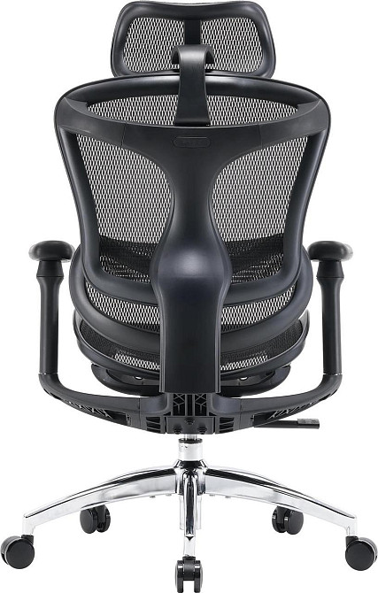 Крісло офісне Sihoo Doro C300L Mesh Black (DORO-C300L-A3-101) ( 15290 ) Харків - фото 2