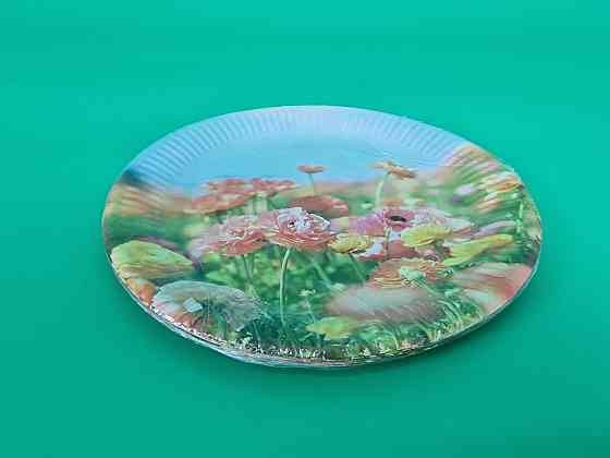 Тарілка паперова 23 см "No65 10 шт (1 пачка) Харків