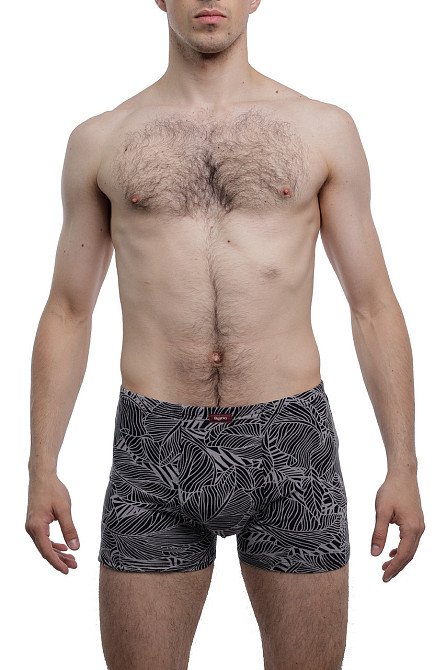 Труси чоловічі Шорти Bono 950356 56, Сірий Киев - изображение 3