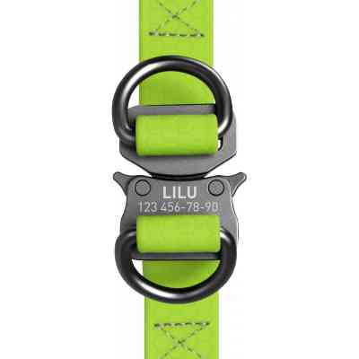 Шлея для собак WAUDOG Waterproof з QR-паспортом XS Ш 15 мм Д 30-39 см салатова (27635) Вінниця