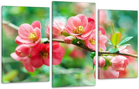 Модульная картина Цветы Весна Art-110_3 Киев