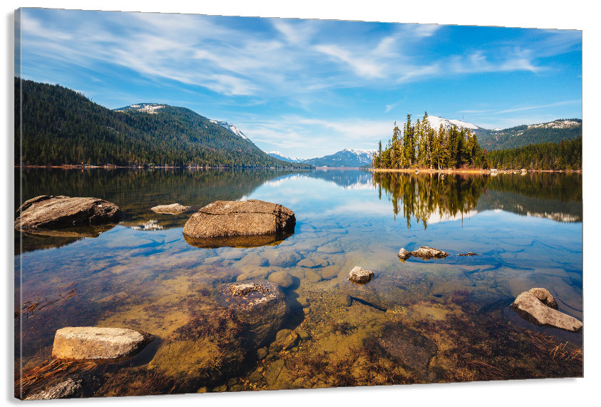 Картина холст в гостиную / спальню   Природа    MLP_340 40x80 см Киев - изображение 1