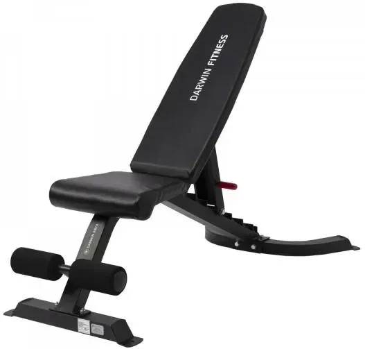 Тренажер Darwin Fitness Лавка Do Wyciskania Z Hantlami Fb70 Киев
