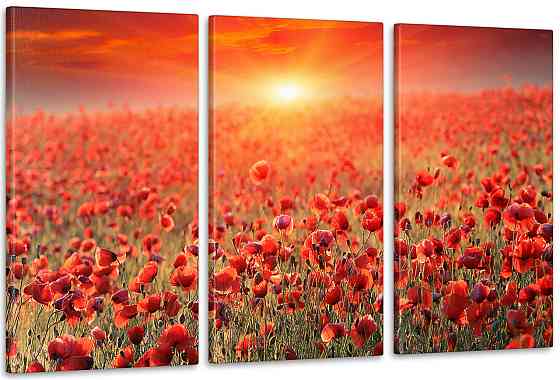 Модульна картина Природа Маки Art-65_3А Київ