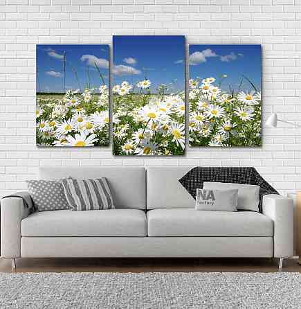 Модульная картина Природа Ромашка Art-47_3 Киев