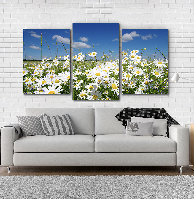 Модульна картина Природа Ромашка Art-47_3 Київ - фото 2