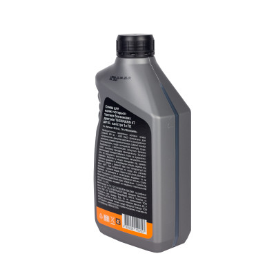 Моторное масло Tekhmann 4Т 1л (853162) Винница - изображение 5