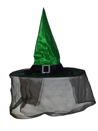 Шляпа Ведьмы с черной вуалью для Хэллоуина зеленый Киев