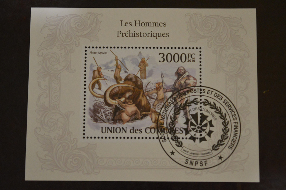 Коморы. Марки. Фауна. Блок. 2010 год (В-5) Полтава - изображение 1