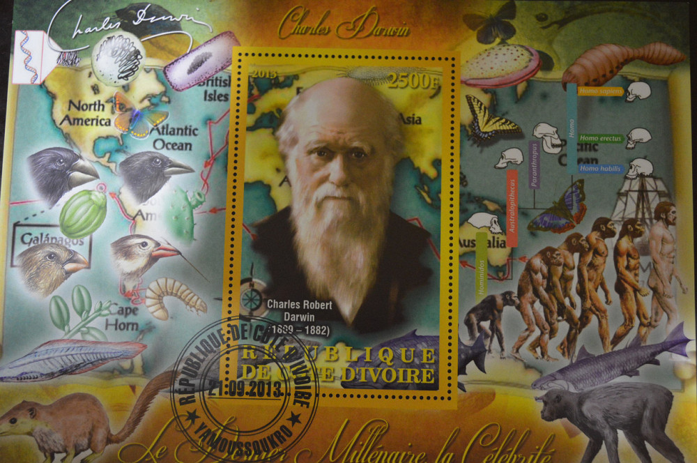 Кот Дивуар. Марки. История. Личности. Блок. 2012 год (В-5) Полтава - изображение 1