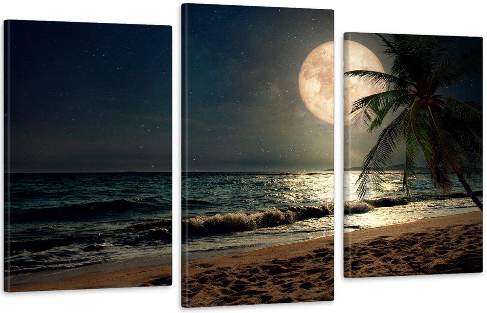 Модульная картина в гостиную / спальню  Місяць в морі   Art-522_3 100x150 см Киев - изображение 1