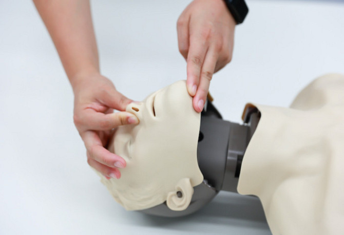 Инновационный манекен для обучения СЛР и AED с визуализацией кровотока Amoul Днепр - изображение 2