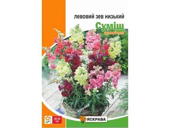 Левиный зев низкий смесь макси (10 пачек) 2г ТМ ЯСКРУВА Киев