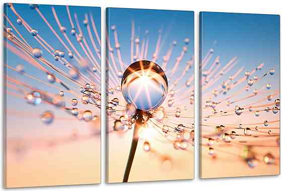 Модульная картина в гостиную / спальню Краплі роси    ART-206_3A 70х130 см Киев