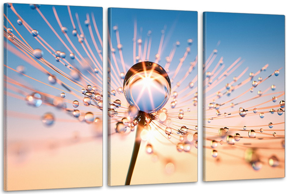 Модульная картина в гостиную / спальню Краплі роси    ART-206_3A 70х130 см Киев - изображение 1