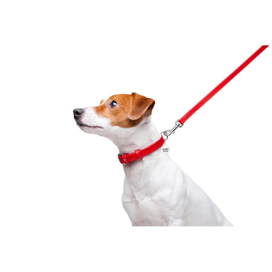 Повідець для собак шкіряний WAUDOG Glamour, Ш 12 мм, Дов 122 см червоний Коломия - фото 4