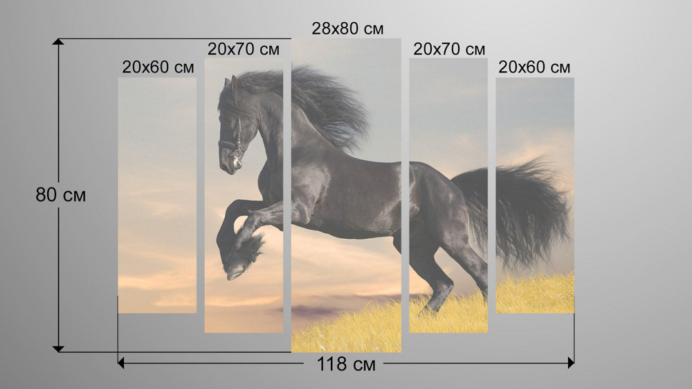 Модульна картина Чорний Кінь Art-85_5 Київ - фото 3
