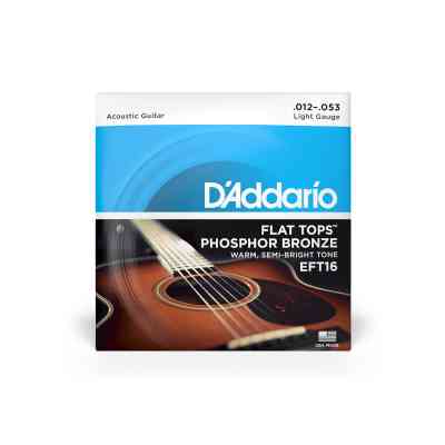 Струны для гитары D'Addario Flat Tops Phosphor Bronze Light (12-53) (EFT16) Винница