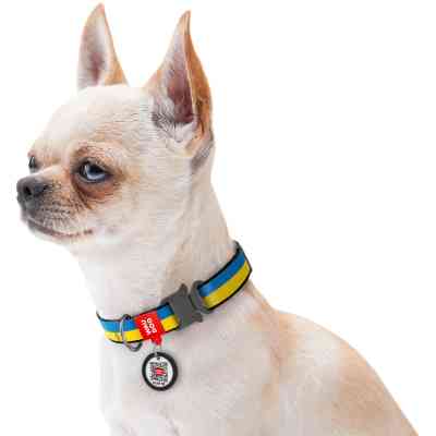 Ошейник для животных WAUDOG Nylon с QR паспортом Colors of freedom металлическая пряжка-фастекс L (4507-4020) Винница