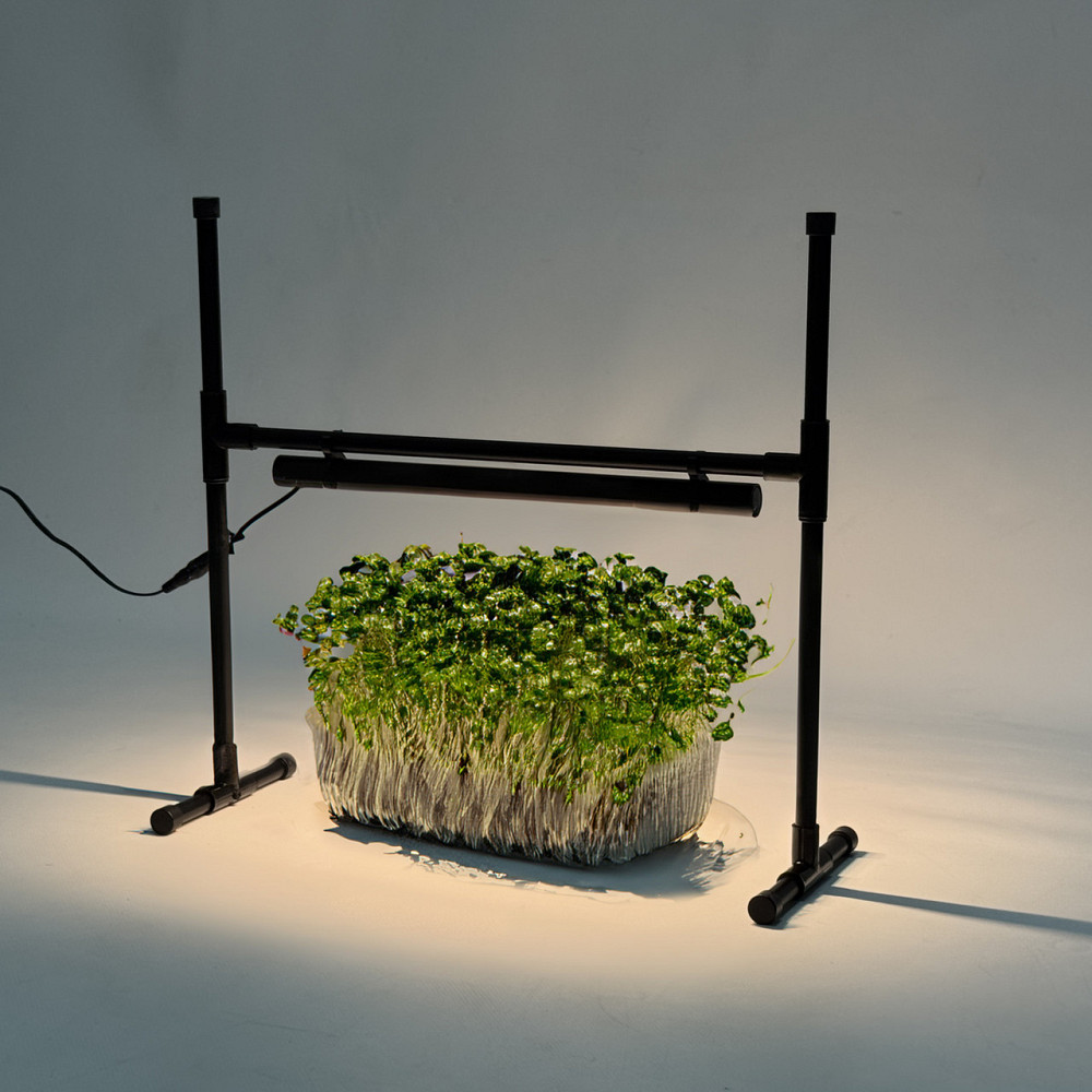 Дитяча фітолампа Mario для вирощування рослин, розсади, мікрозелені Борисполь - изображение 2