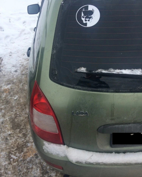 Наклейка на авто Пітбуль Біла світловідбивна Київ - фото 6