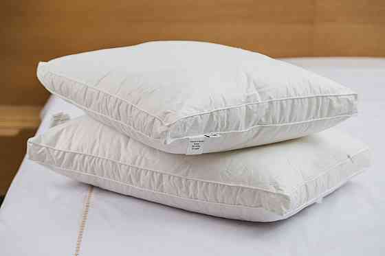 Ecotton Подушка Ecotton 50х70 см Ecofill Premium антиалергенна з кантом біопух біла в чохлі для Київ