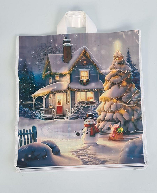 Пакет 40*42 петлевая ручка Домик Снеговика НГ Комсерв (25 шт) Харьков - изображение 3