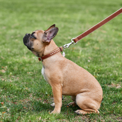 Ошейник для животных WAUDOG Soft с QR паспортом металлические украшения XS коричневый (7195) Винница - изображение 2