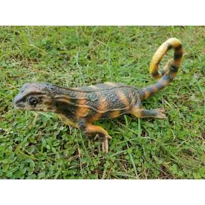 Фігурка Lanka Novelties Ігуана маскова кілевата , 42 см (21647) Вінниця