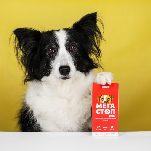 Краплі Provet МЕГАСТОП УЛЬТРА для собак усіх порід 10-25 кг 4 піпетки х 2,5 мл Київ - фото 4