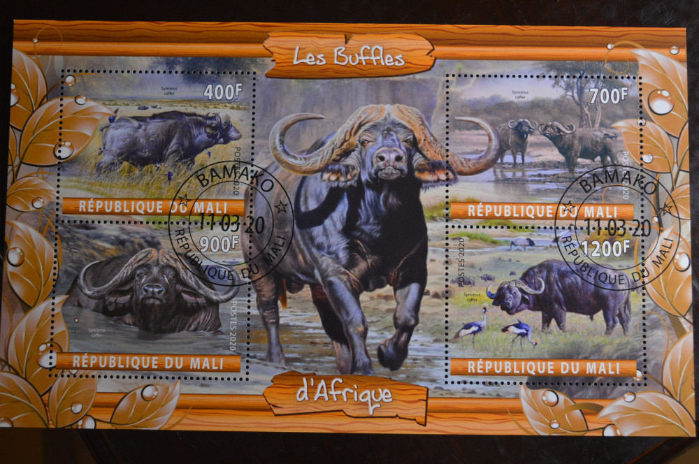 Мали. Марки. Фауна. Блок. 2020 год (В-2) Полтава - изображение 1